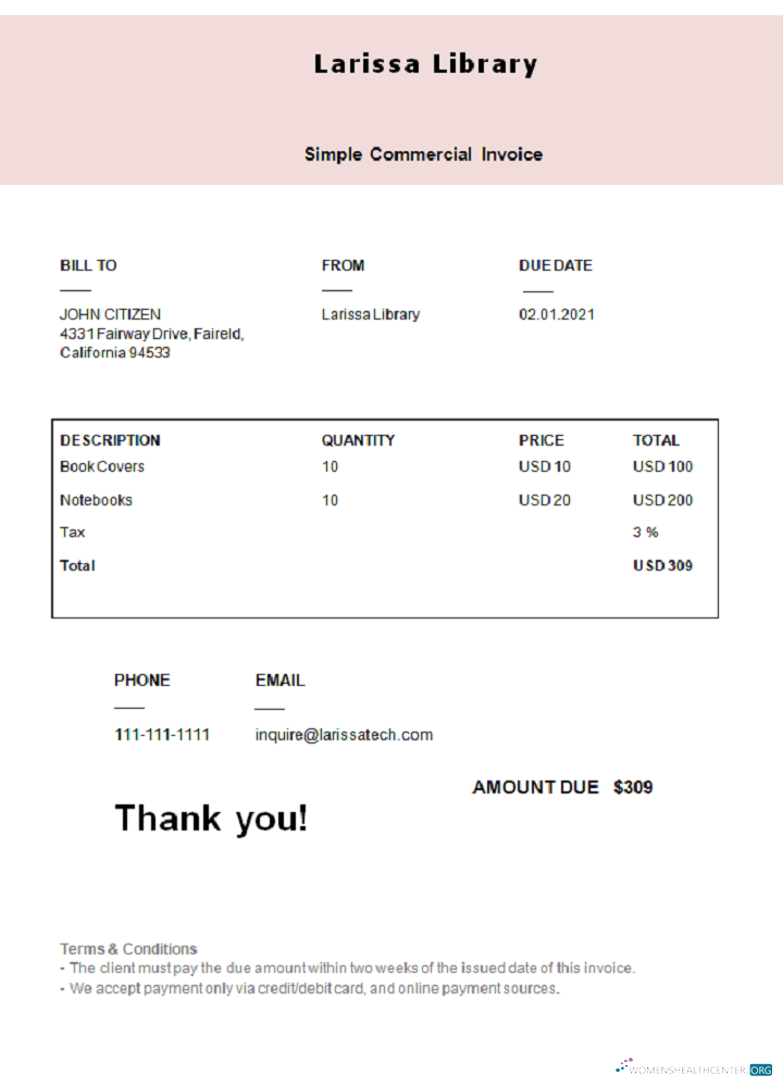 Download USA Larissa Library invoice Photoshop template